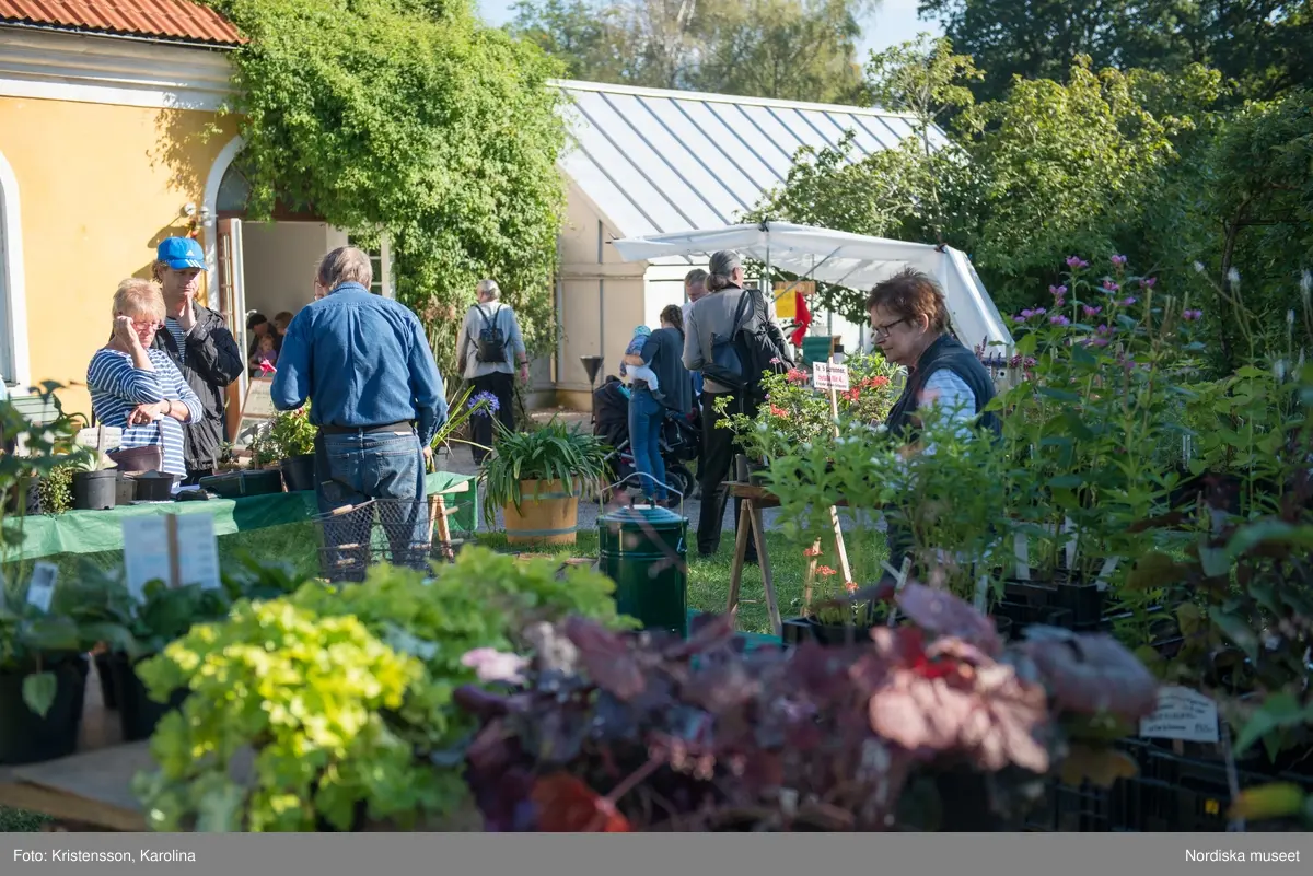 Äppeldagarna Julita 2015, Äpplen, marknad, butiken
