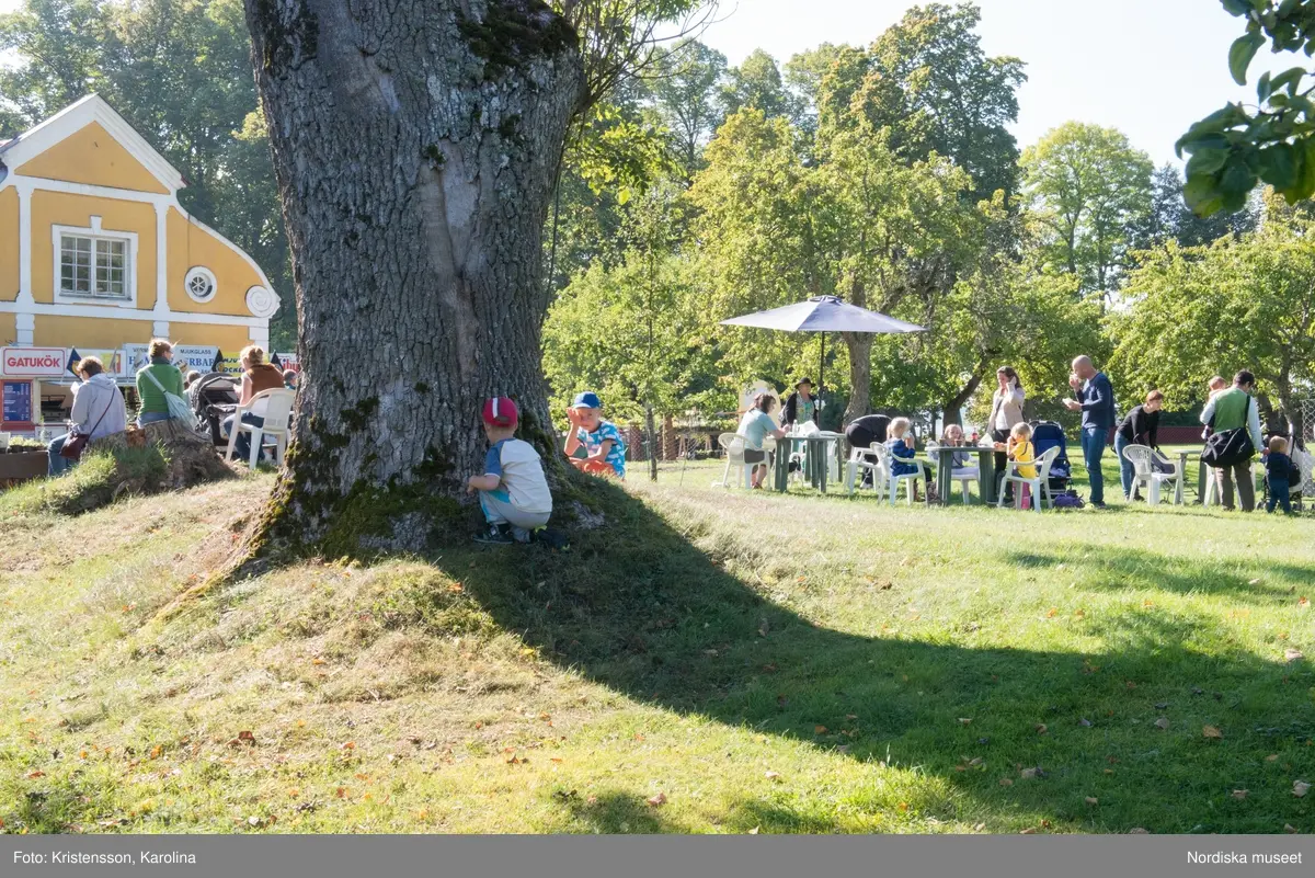 Äppeldagarna Julita 2015, Äpplen, marknad, butiken