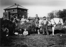 Høyonn på Rossaland. Ingebret Serigstad forpakta garden til 