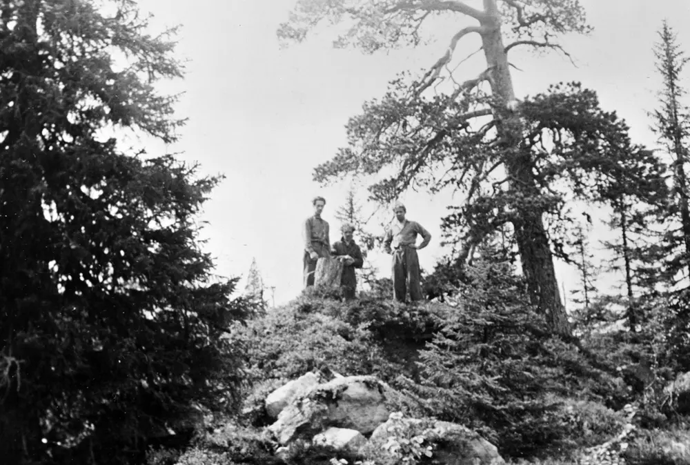 Rævhølet, hytta er ferdig