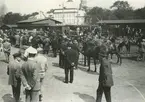 Kronans inköp av hästar vid Kalmar Centralstation omkring 1935.