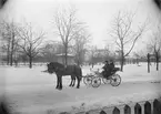 Hästekipage vid Järnvägsparken, Uppsala