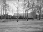 Botaniska trädgården mot Uppsala slott, Uppsala 1886