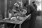 F6 Karlsborg 1952. Eskaderövning i Hultsfred. Förplägnadsinrättningen. Albumet är en del av en donation från Karl-Axel Hansson, Karlsborg. Förteckning över hela donationen finns i albumet samt som Word-dokument.