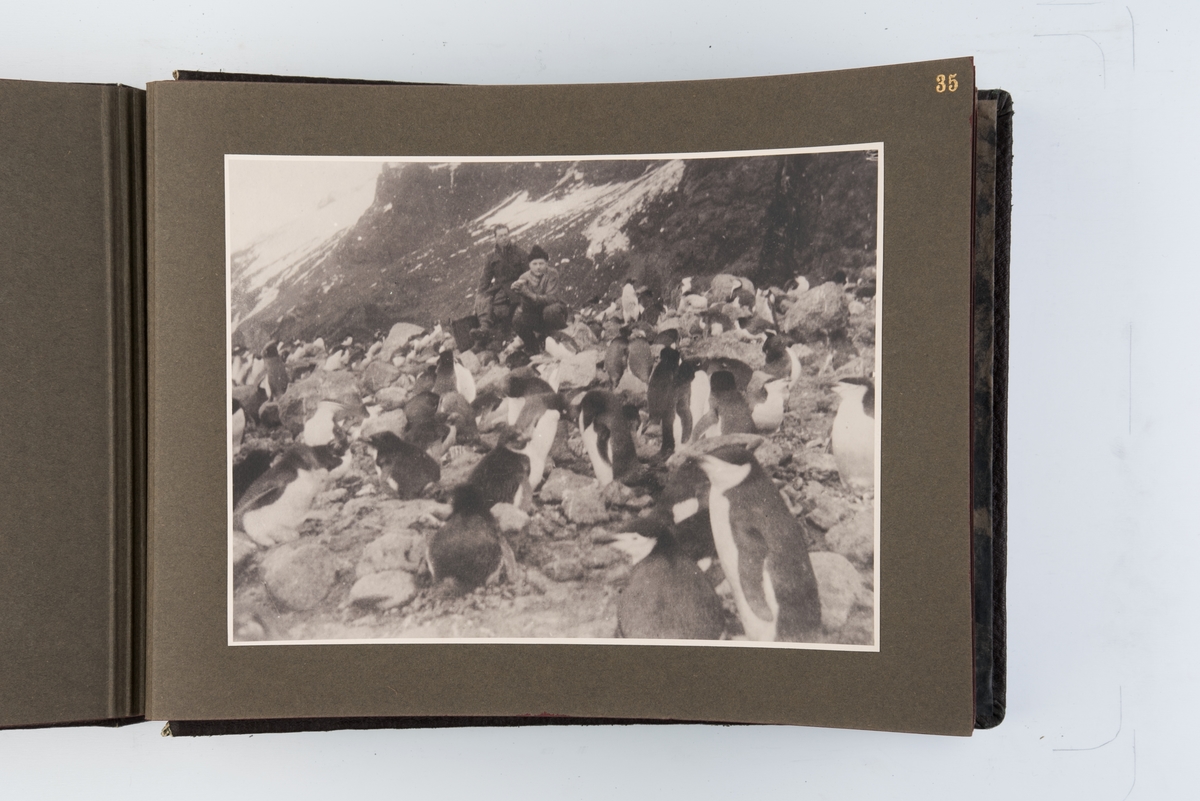 Fotoalbum med 40 fotografier og ett kart fra Norvegiaekspedisjonen til Bouvetøya 1927-1931.
