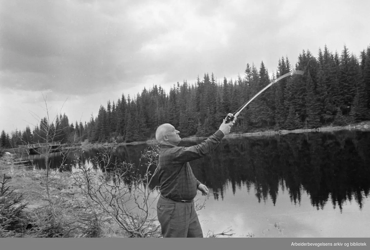 Nordmarka: Nestformann i OFA (Oslomarkas Fiskerriadministrasjon) Richvald Hansen med slukstanga i et lite vann like ved Katnosa. Mai 1972