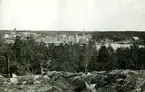 Vy över fabriksområdet med Farstaviken i förgrunden. Kvarnen syns till vänster uppe på Kvarnberget, den revs 1914.