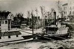 Ångbåtarna Gustavsberg och Wärmdö.