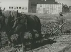 Plöjning med häst framför badkarsfabriken.