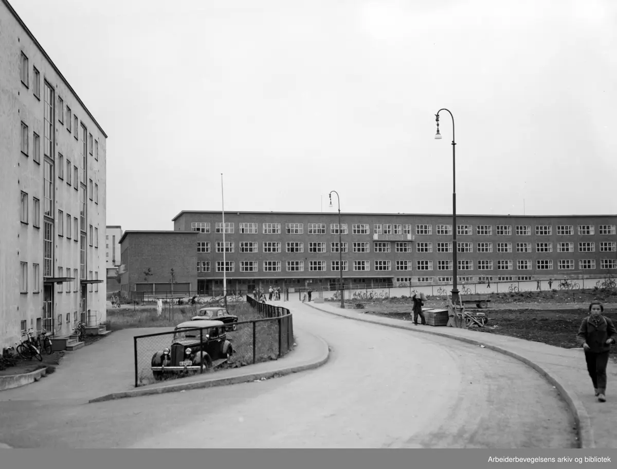 Marienlyst skole. September 1955