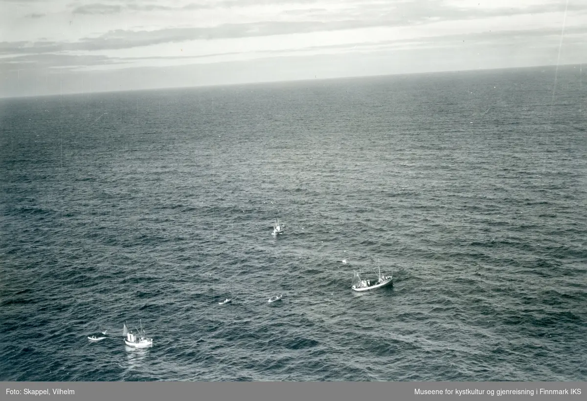 Flyfoto. Fiskebåter ved Nordkapp. 22.08.1953.