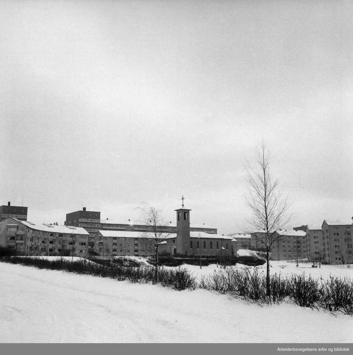 Iladalen. Februar 1957