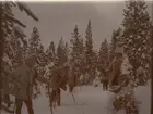 Smålands husarregemente K 4 på skidor, vinterövning i Norrbotten omkring 1910.