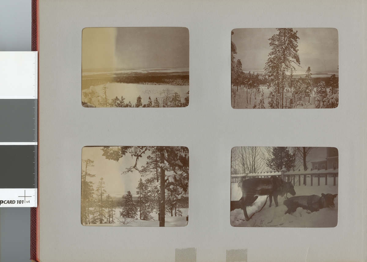 Utsikt över vinterlandskap, Smålands husarregemente K 4 på vinterövning i Norrbotten omkring 1910.