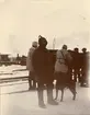 Officerare från Smålands husarregemente K 4 och civila under vinterövning i Norrbotten omkring 1910.