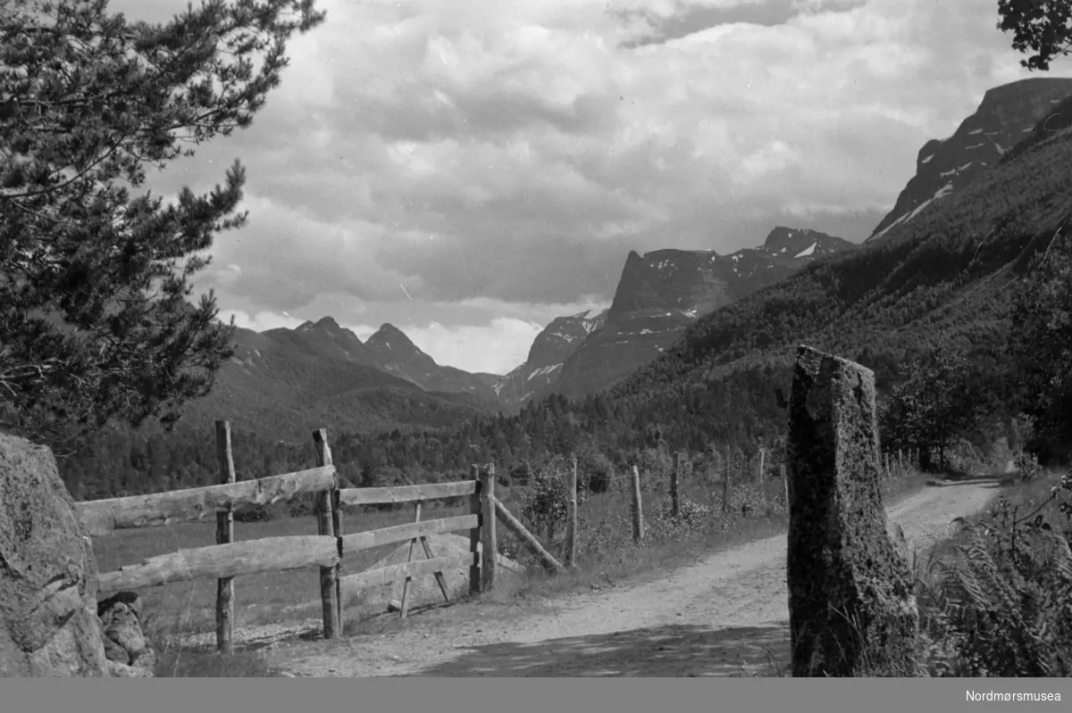 Foto fra Dalsbø mot Innerdalen. Fotografiet er brukt i postkort nr. 800 fra Sverdrups bokhandel A.s. Fra Sverdrupsamlingen ved Nordmøre museums fotosamlinger.