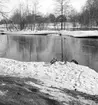 Vårbilder
i Boulognerskogen