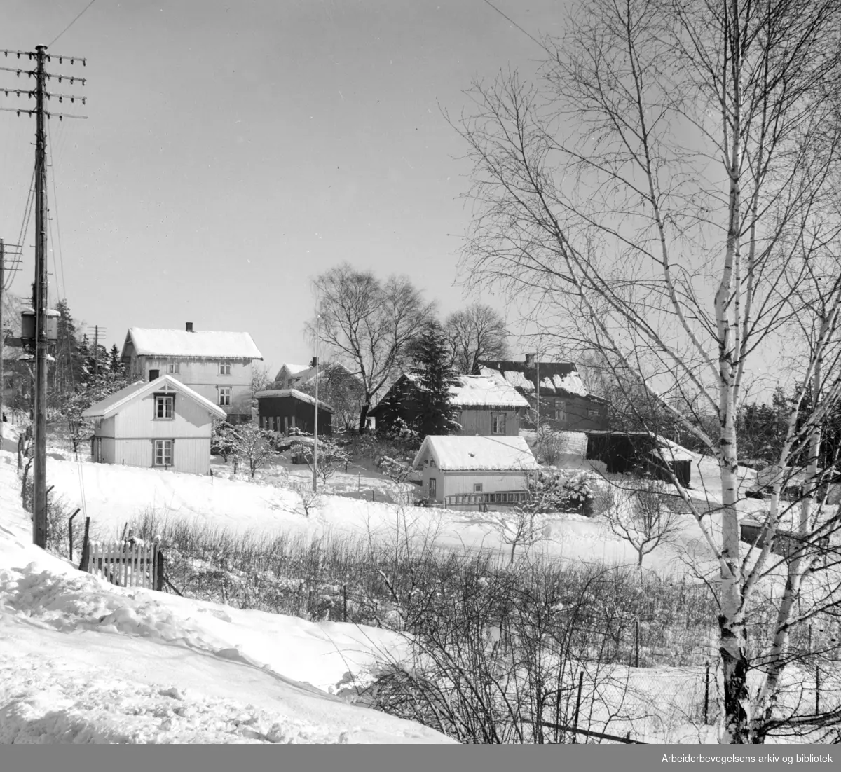 Grorud før bebyggelsen 1946