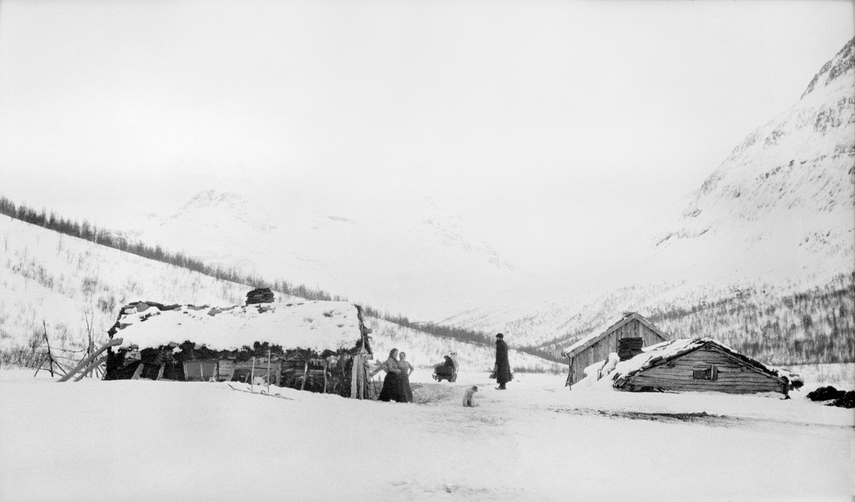 Gardstun i Tamokdalen i Balsfjord i Troms.  Fotografiet er tatt mot tre gamle, nokså forfalne bygninger, hvorav de to nærmeste er laftekonstruksjoner, mens i hvert fall den øvre delen av den bakerste er en bordkledd konstruksjon.  Bygningen til venstre, som er et stuehus med ei pipe, har torvtak.  Det har også fjøset, som ligger med gavlen mot fotografen, til høyre i bildet.  Den bordkledde konstruksjonen bakenfor er antakelig ei løe.  Mellom bygningene skimtes et par menneskeskikkelser og en hund.  Nedenfor bygningene ses en snødekt dal med glissen skog, overveiende bjørk.  I bakgrunnen bratte, skogløse fjell. 

Vinteren 2012 fikk Norsk Skogmuseum et tips (jfr. rubrikken «Andre opplysninger») om at gardstunet i forgrunnen var eiendommen Vingstad (Kartverkets, og dermed statsforvaltningens stavemåte, informanten skriver «Wingstad»).  Her knyttes bebyggelsen til «Kvæn-Isak», som skal ha vært den første som slo seg ned som jordbruker på dette stedet. 

I 2015 fikk museet henvendelse fra en annen lokalkjent person som kunne fortelle at dette er tunet på en eiendom som har vært kalt både «Steinli» og «Lemmetlia».

I 2020 kom følgende melding fra Torbjørn Fagermo:

«Gården er Steinli
Bebodd av Isak Eriksen Tapio med hustru Thea Eriksen født Thorsteinsdatter ved Østerlid , Fjellfroskvatnet. Det som ser ut som to kvinner ved "huset" kan være døtrene på gården Sofie og Ida , min bestemor født henhv. 1896 og 1898 ca. Thea og Isak bodde først på 1890 i Skaret og senere som "husmenn" under Høiseth fra rundt 1895 til de kjøpte Steinli i 1910.»