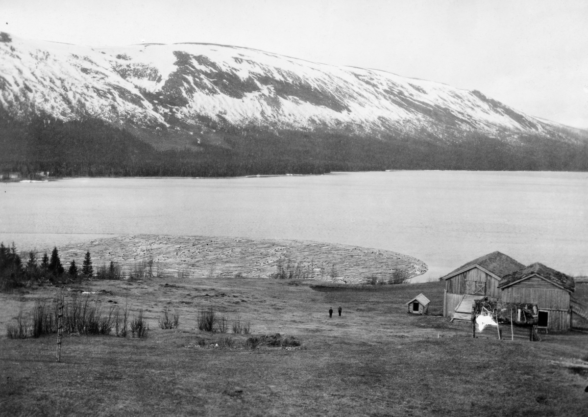 Innlenset tømmer ved Skarmodalselvas innløp i Unkervatnet (Åanghkejaevrie) i Hattfjelldal på Helgeland. Lensa er forankret ved stranda nedenfor Ørneset gård, i den østre enden av innsjøen. Tømmeret er altså fløtingsvirke fra Skardmodalselva, som skulle bukseres over vannspeilet mot Unkerelva og fløtes videre mot Vefsna. Fotografiet ble tatt i 1912 fra engarealene ovenfor Ørnes-gården.  Et par av driftsbygningene på eiendommen ses til høyre i bildet.  I bakgrunnen en delsvis snøkledd fjellrygg, antakelig Midtfjellet.