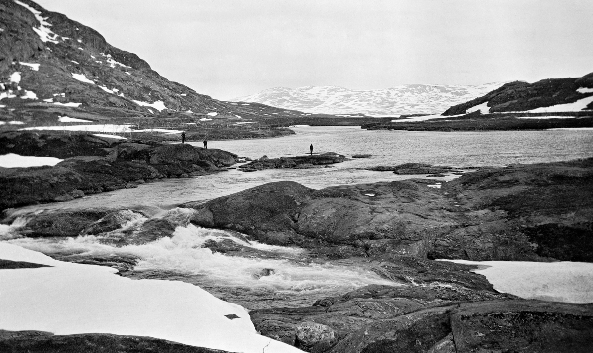 Gressvatn, et fjellvatn i Bjerkavassdraget i Hemnes.  Fotografiet er tatt fra bergflatene ved utløpet fra vatnet.  Tre menn står på bergflater i og ved elveløpet, forholdsvis langt fra fotografen. Både ved elveleiet og i de skogbare fjella omkring ligger det snøflekker.  På kartotekkortet er opptaksstedet karakterisert som et damsted.  Det er vanskelig å se noen damkonstruksjon på fotografiet, men lett å forstå at dette kan være et sted hvor det er enkelt å byggge en demning. 