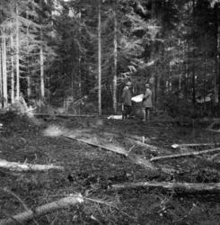 "Trekullmile   Milebunnen  Veden reist, men ikke jevnkappet"