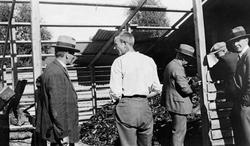 "Trekull-brenning i Sigdal"