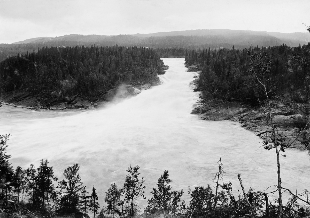 Renfossen i Ranaelva.  Fossen er fotografert forfra, fra en bakkeskråning med bjørkekratt og enkelte granbusker.  Vatnet kommer skummende mot fotografen mellom to skogdekte bergflater.  I bakgrunnen skimtes et par gardsbruk under skogdekte åser. 