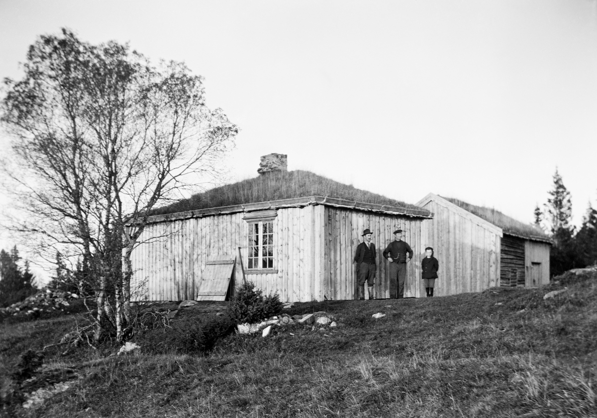 Åsen skogstue i Østhus statsskoger.  Dette er et litt uvanlig skogshusvær.  Huset er laftet og kledd med vertikal bordkledning.  Det har et digert vindu, og det torvtekte taket er pyramideformet. Pipa er gråsteinsmurt.  Foran huset står to velkledde herrer og et guttebarn.  Bakenfor skimtes et laftet, delvis bordkledd hus med torvtak, antakelig en stall.  Foran skogstua til venstre står ei bjørk.