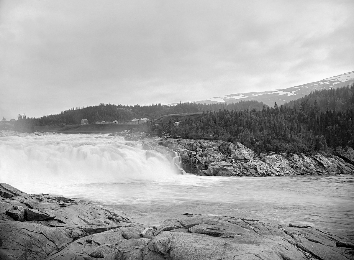 Laksforsen i Vefsna, i Grane kommune på Helgeland.  Denne fossen har et fall på om lag 16-17 meter, på et sted der elva, etter lenge å ha rent på hard granittgrunn, møter en bløtere bergart.  Fossen ligger om lag 30 kilometer fra vassdragets utløp i Vefsenfjorden ved Mosjøen.  På slutten av 1800-tallet engasjerte engelske kapitalister seg i sagbruks- og skogsdrift i området, og med denne virksomheten fulgte også pengesterke aktører som var opptatt av laksefiske.  Opprinnelig kom ikke laksen høyere opp i Vefsna enn til den 3-4 meter høye Forsjordfossen, som ligger i nåværende Vefsn kommune.  Der ble det i 1870-åra for privat regning utminert ei laksetrapp, som gjorde at fisken i hvert fall ved lav vannføring kunne gå opp til Laksforsen, 11 kilometer høyere oppe i vassdraget.  I siste halvdel av 1880-åra ble det sprengt ut passasje til ei laksetrapp på vestsida av fossen (til høyre i dette bildet).  Dette ble gjort i håp om at den lakseførende delen av Vefsna skulle kunne forlenges med ytterligere cirka 10 kilometer opp mot Fellingsforsen i Grane, som var det neste store hinderet for fiskens vandring.  I nyere tid er laksetrappa stengt for å hindre at fiske som er bærere av flatormen Gyrodactylus salaris kommer seg videre oppover i vassdraget.  Den nedre delen av vassdraget ble rotenonbehandlet i 2011 og 2012.