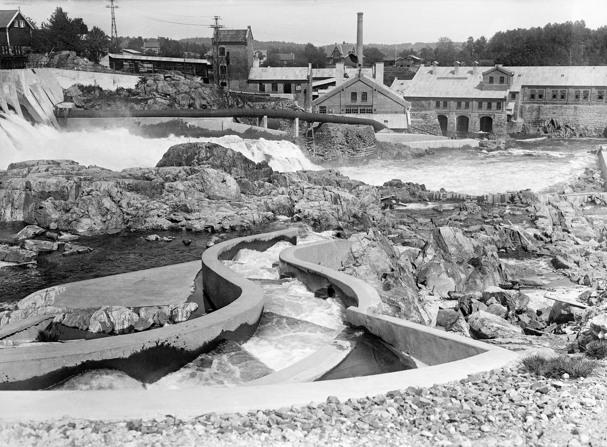 Fra fossen Rygene (kan også staves Rykene) i Nidelva, som her var grense mellom herredene Fjære og Øyestad, i dag mellom Grimstad og Arendal kommuner i Aust-Agder.  Fotografiet er tatt fra sørsida av fossen, der det var støpt ei fisketrapp av betong som skulle gjøre det mulig for laks og sjøørret å ta seg oppover i vassdraget på sine gytevandringer.  Dette er ei såkalt «kulpetrapp», med små avsatser som gjør det mulig for den anadrome fisken å hoppe fra basseng til basseng oppover mot dammen og det ovenforliggende vassdraget.  På motsatt side av fossen ser vi bebyggelsen ved Rygene tremassefabrikker.  Denne virksomheten ble etablert i begynnelsen av 1870-åra, med daværende Arendal-ordfører Anders Dedekam Geelmeyden (1832-1912) som gründer.  Den første fabrikken, med to slipeapparater, sto ferdig i 1873, men ble herjet av brann alt fem år seinere. Fabrikkruinen ble etter hvert overtatt av selskapet Smith & Thommesen, som utover i 1880-åra fikk virksomheten i gang igjen.  I 1896 satset selskapet stort og utvidet fabrikken, slik at den fikk ni varmslipeapparater og tjue pappmaskiner.  For å kunne holde et slikt produksjonsapparat i kontinuerlig drift ble det også investert i en ny dam ovenfor fossen og i nye turbiner.  Ekspansjonen fortsatte i de første årene på 1900-tallet, med flere maskiner og med taubane til Helle ved Arendal.  Selskapet så også tidlig at fallrettighetene kunne gi avkastning på flere måter.  Omkring første verdenskrig ble det minste sliperiet ombygd til kraftstasjon.  Etter at krigen var over samarbeidet Smith & Thommesen med Fossekompaniet om videre kraftutbygging.  I 1974 overtok Aust-Agder energi mot løfte om å levere Smith & Thommesen 85 GWh vederlagsfritt til evig tid.  Året etter startet bygginga av et nytt kraftverk som sto ferdig i 1977-78.  Dette fotografiet er sannsynligvis fra tidlig på 1900-tallet.

Fisketrappa i forgrunnen ble antakelig bygd i samarbeid mellom tresliperiet og den norske stat. Høsten 1900 ble det i hvert fall fremmet forslag om et slikt spleiselag i Stortinget:

«Endelig opføres under post 13 kr. 800,00 til anlæg af laksetrapper i Rygene foss i Nisserelven. Fossen ligger 11 kilometer fra elvemundingen, medens det oplyses, at laksen, naar fossen er passeret, kan gaa 30 kilometer længere op.

Forholdene i Rygene foss har altid været vanskelige for laksens fremkomst paa grund af naturforholdene og en del ældgamle faststaaende fangstindretninger. I den sidste tid er al passage for laks omtrent umuliggjort ved anlæg af en dam til et træsliberi øverst i fossen. Her pligter dameieren efter vasdragsloven at skaffe fisken passage, og han er ogsaa villig dertil; men naar det nederste parti vedbliver at være næsten ufarbart, hjælper dette lidet.

Nu er dameieren ogsaa villig til at gjøre det nederste parti af fossen fremkommeligt mod et bidrag af kr. 800,00, hvilket svarer til omtrent ⅓ af det hele anlægs kostende.

Komiteen finder i henhold til disse oplysninger intet at indvende mod, at beløbet bevilges. Hvad vedligeholdelsen angaar, gaar man ud fra, at den bliver det offentlige uvedkommende; idet man derom henholder sig til det i propositionen af fiskeridirektøren udtalte.»
