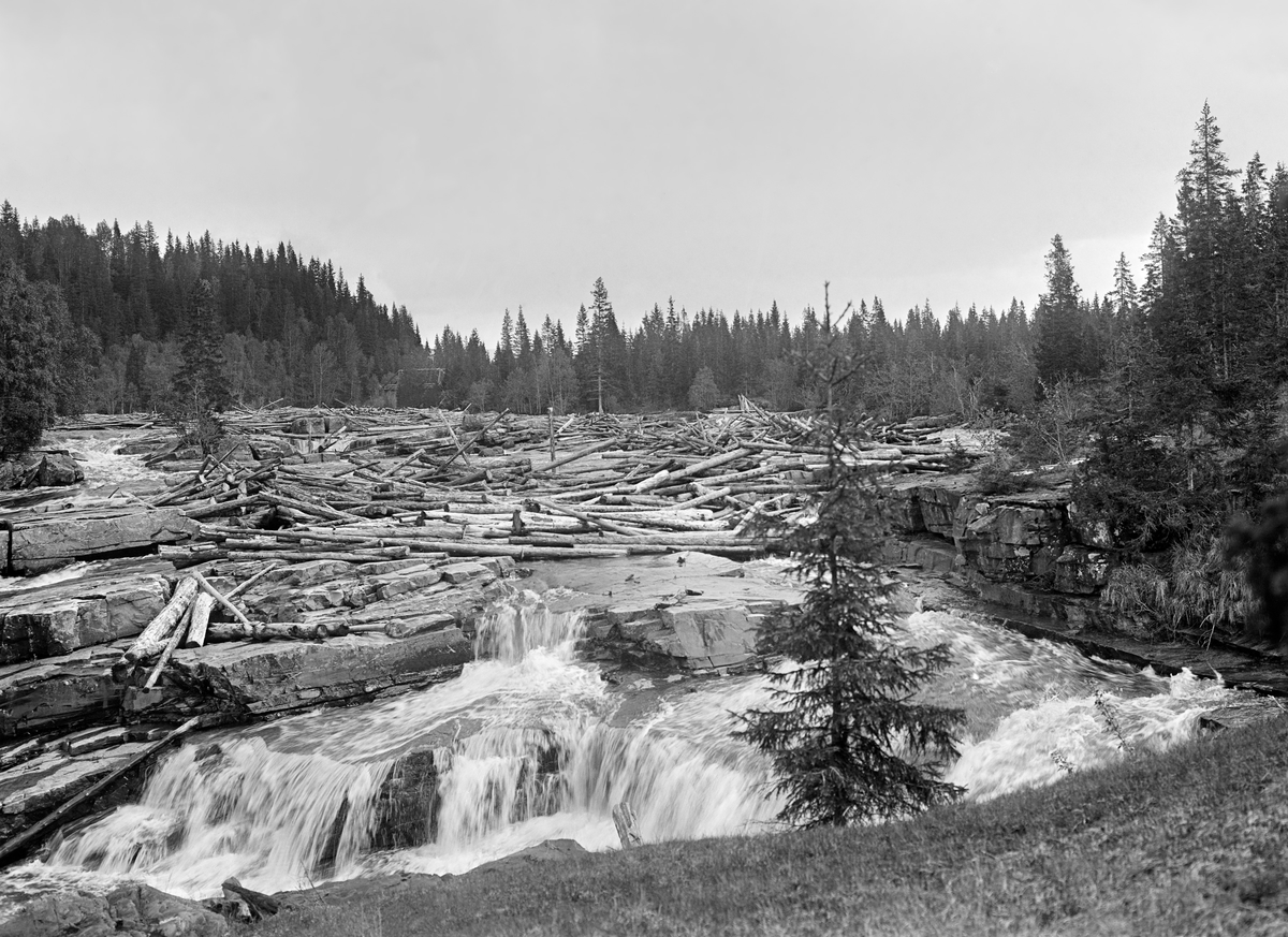 Foss, tømmer, tømmervase, tømmerfløting