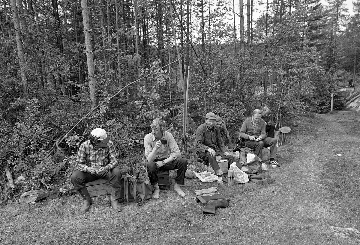 Fem av tømmerfløterne som i 1981 fløtet tømmer i elva Søndre Osa i Åmot kommune i Østerdalen, fotografert mens de kvilte ved Kvernfallet. Karene satt på trekasser langsmed en gangveg som ført mot elva, med kaffekopper og brødskiver i hendene.  Fra venstre ser vi Arnstein Norsted, Odd Risberget og Harald Øren, alle fra lokalsamfunnet Osen. Deretter følger en mann vi foreløpig ikke er sikre på navnet til. Ytterst til høyre sitter sannsynligvis Odd Nordnes, også han fra Osen. I tillegg til disse inngikk også tre spreke, unge karer fra Åsnes i Solør i fløterlaget (jfr. SJF.1989-00608).