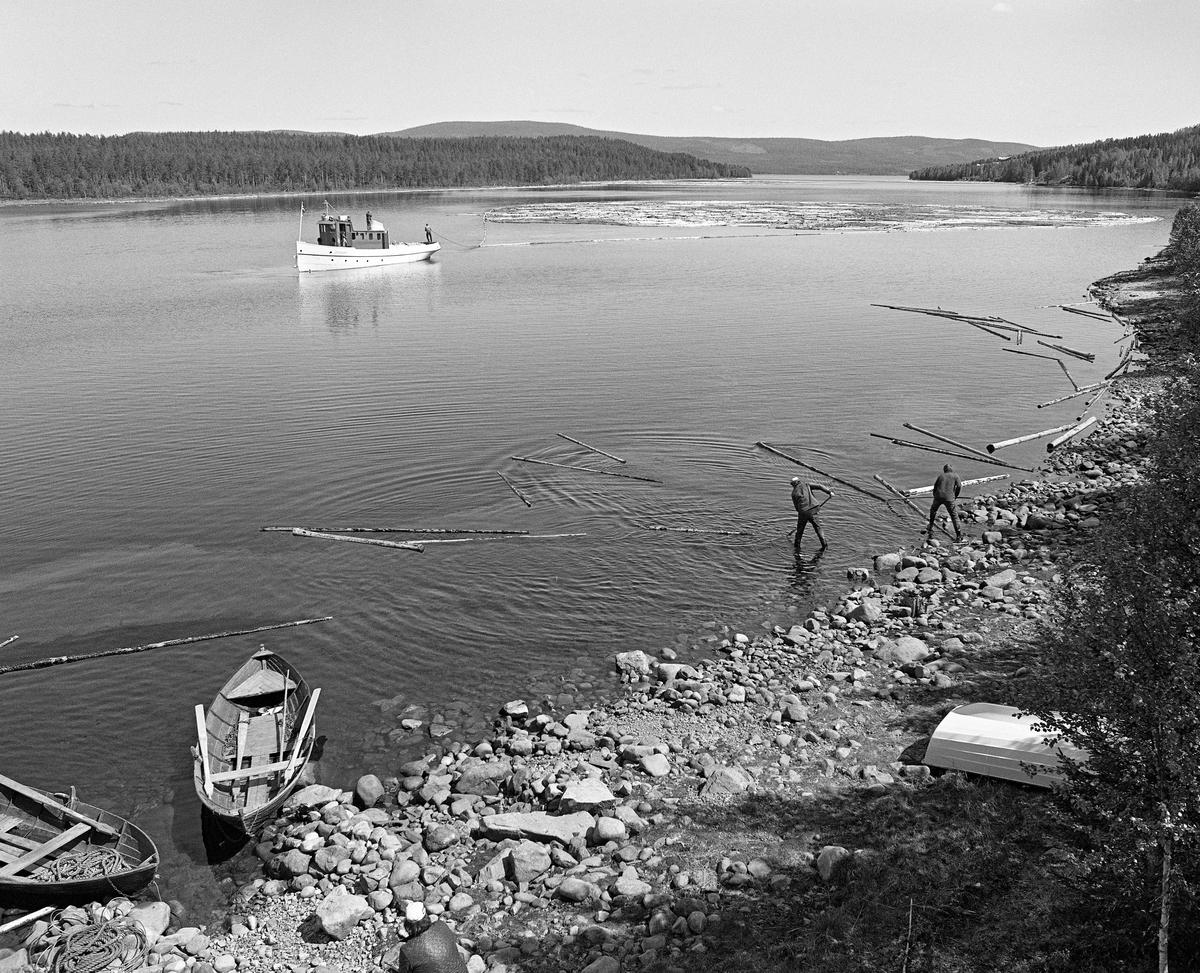 Slepebåten Trysilknut inne i Valmen i den nordvestre delen av Osensjøen i Åmot med en tømmerbom. Her bukseres fløtingsvirket mot dammen som regulerer sjøen, og avløpet, elva Søndre Osa, med sikte på fløting videre nedover i vassdraget. Trysilknut ble sjøsatt i Osen i 1914 og dette fartøyet var med i fløtinga på denne innsjøen inntil den ble avviklet etter 1984-sesongen. I forgrunnen ser vi et par av robåtene som ble brukt av karene som drev med såkalt landrensk - de dro tømmer som hadde blitt liggende i den steinete strandsona etter hvert som sjøen ble tappet. I 1981 ble det levert 10 260 kubikkmeter med tømmer - slipvirke til treforedlingsbedriften Borregaard i Sarpsborg - ved Osensjøen. Dette tømmeret skulle fløtes ned den cirka 17 kilometer lange Søndre Osa, over i den nedre delen av Renaelva, som skulle føre det ut i hovedvassdraget, Glomma.