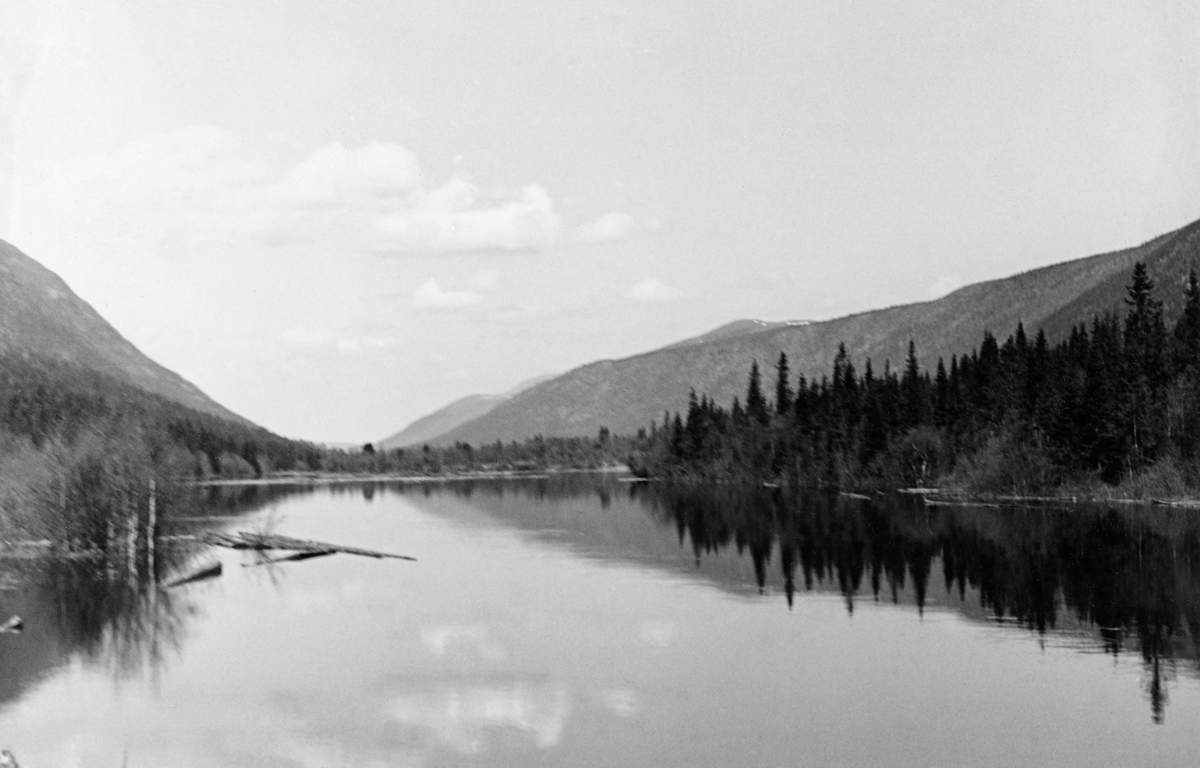 Finnstaddammen (i noen sammenhenger også stavet «Finstaddammen») i Øvre Rendalen i Hedmark.  Fotografiet ble tatt våren 1941 fra fløtingsdammen og nordover den såkalte Håen, et stilleflytende løp mellom den 0,8 kvadratkilometer store Finnstadsjøen og den nedenforliggende Finnstadåa, som hadde mer fall.  I sørenden av Håen ble det bygd en nåledam med to løp.  Ved å stenge denne dammen kunne det ovenforliggende vassdraget gjøres til magasin med sikte på å samle nok vann for fløtingssesongen i det nedenforliggende vassdraget (Finnstadåa, Unsetåa og Nordre Rena).  Finnstaddammen var en nåledam med to løp omgitt av steinfylte tømmerkister.  På det tidspunktet da dette bildet ble tatt var vannstanden på motstrøms side preget av at dammen var i bruk.