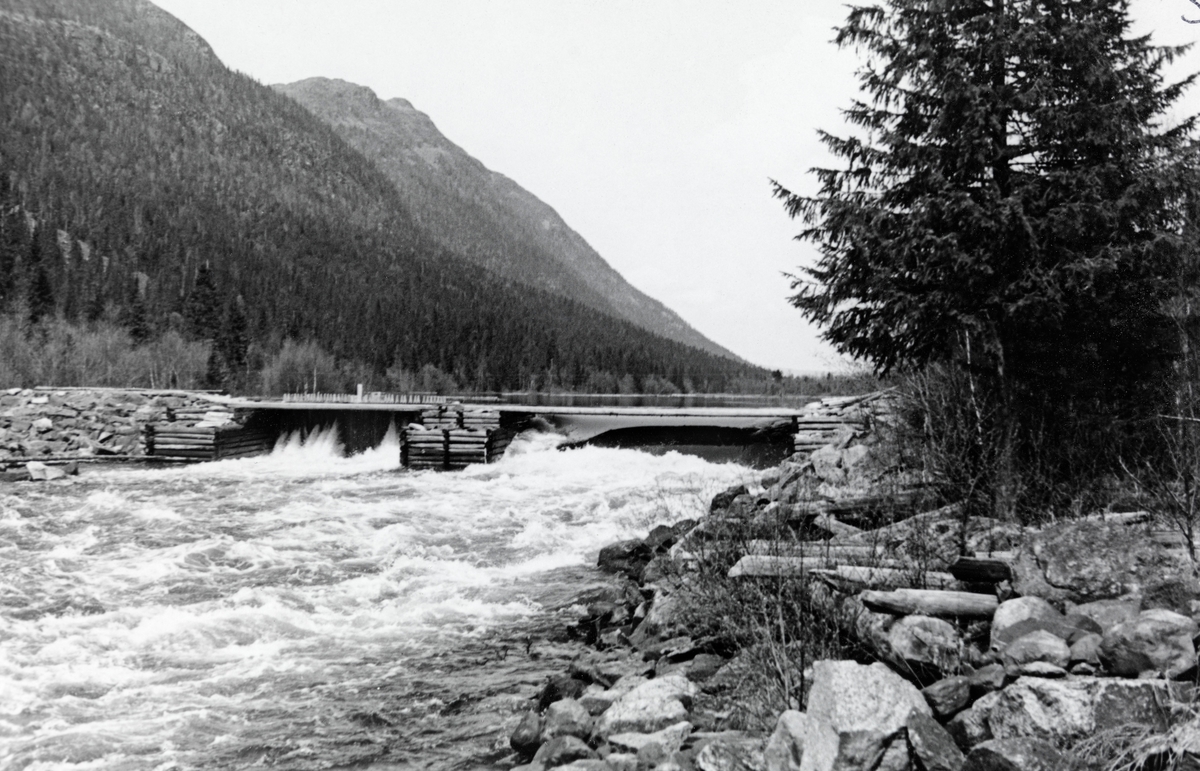 Finnstaddammen (i noen sammenhenger stavet «Finstaddammen»), en fløtingsdam lengst nord i Øvre Rendal, ved Finnstadåas utløp fra Håen i sørenden av Finnstadsjøen.  Fotografiet ble tatt våren 1941.  Finnstaddammen hadde to løp, skilt av steinfylte tømmerkister.  Det vestre løpet (til venstre på fotografiet) var stengt med nåler da bildet ble tatt, mens det høyre sto åpent.  Vannstanden så vel ovenfor som nedenfor dammen var forholdsvis høy.  Vestre damarm later til å ha vært plastret med forholdsvis stor stein.  I forgrunnen til høyre en elvebredd der det tilsynelatende er oppkastet en del stein.  Her ligger også noen gamle, krysslagte tømmerstokker.  Dette kan ha vært underlag for ei tømmervelte, men registrator er slett ikke sikker på at denne tolkningen er riktig.  I bakgrunnen til venstre ses et markant høydedrag med granskog langs foten.  Dette er antakelig Finnstadkletten.