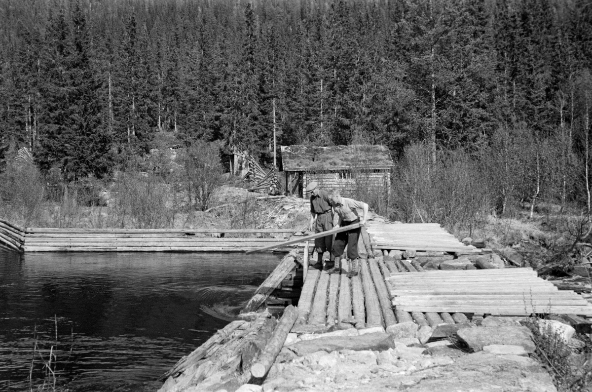 Fra Finnstaddammen i Øvre Rendalen. Fotografiet er tatt fra vestre damarm under «setting» (stenging) av det vestre av de to løpene i dammen.  To menn arbeidet på dambrua.  Den ene hadde nettopp satt ned ei «nål», den andre sto med ei klubbe og var åpenbart klar for å banke «nålene» i posisjoner som «tettet» best mulig.  På bruene over begge damløp lå det «nåler» (planker) som ennå ikke er stukket på plass.  På østre landside ovenfor dammen var det en skjerm av plank eller tømmer som later til å ha vært festet mot ei bakenforstående rekke av bukker. Øst for dammen lå ei laftet damkoie med torvtak, og til venstre for den skimtes et par vedreis og en utedo.  Lia bakenfor var kledd med granskog. 

Finnstadsjøen var ett av de siste vassdragene i Glommavassdraget der isen gikk.  Dessuten var det få virkesleveranser som måtte fløtes så langt før de nådde kjøperne som tømmeret fra dette området.  Fra gammelt av ble det derfor lagt mye arbeid i å sandstrø isen, slik at sola skulle ta godt og fløtinga kunne begynne tidligst mulig.  I begynnelsen av 1930-åra ble det arbeidet for å senke Finnstadsjøen med sikte på å gjøre våtmarkene langs sjøen dyrkbare.  Et slikt senkingsarbeid ble igangsatt høsten 1933.