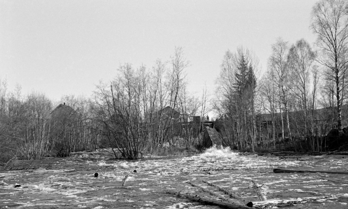 Fra Sæteråa i Sør-Odal.  Fotografiet er tatt nedenfor Sætersagdammen, mot renna som leder vann og tømmer ut av dammen.  I forgrunnen et bredt, men grunt elveleie med vann og løstømmer.  Mellom dette og dammen en del lauvskog.  Bak lauvskogen skimtes damkonstruksjonen og et par bygninger.  Ved Sætersagdammen var det fra gammel av sagbruk og mølle. 