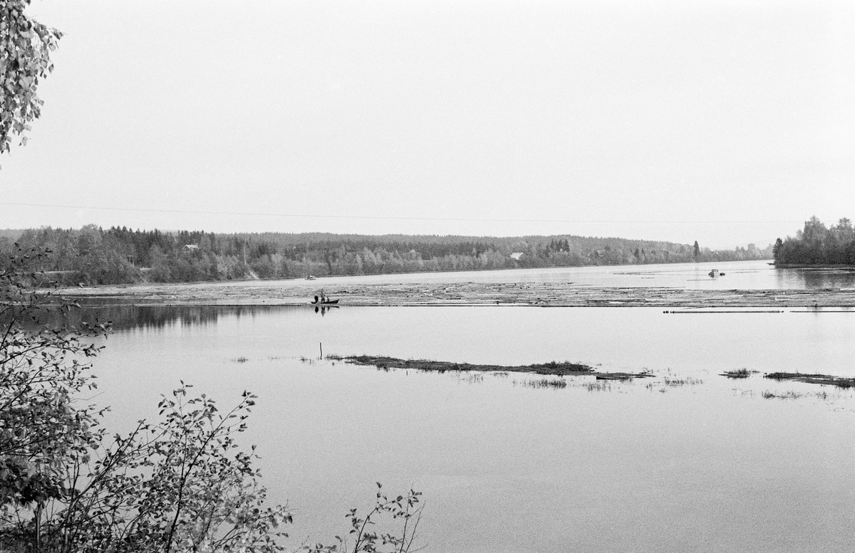 Fra tømmerfløtinga i Glomma sommeren 1959.  Fotografiet er tatt ved Oslensa (i nærheten av Skarnes), der vi kan skimte en del fløtingsvirke på vannspeilet bak lensa.  Vi ser også en robåt med tre mann om bord.  Fotografiet skal være tatt under «sluttrensken», altså mens fløterne forsøkte å få det siste tømmeret som hadde lagt seg mot land eller på stein- og grusører i elveløpet til å flyte videre nedover.