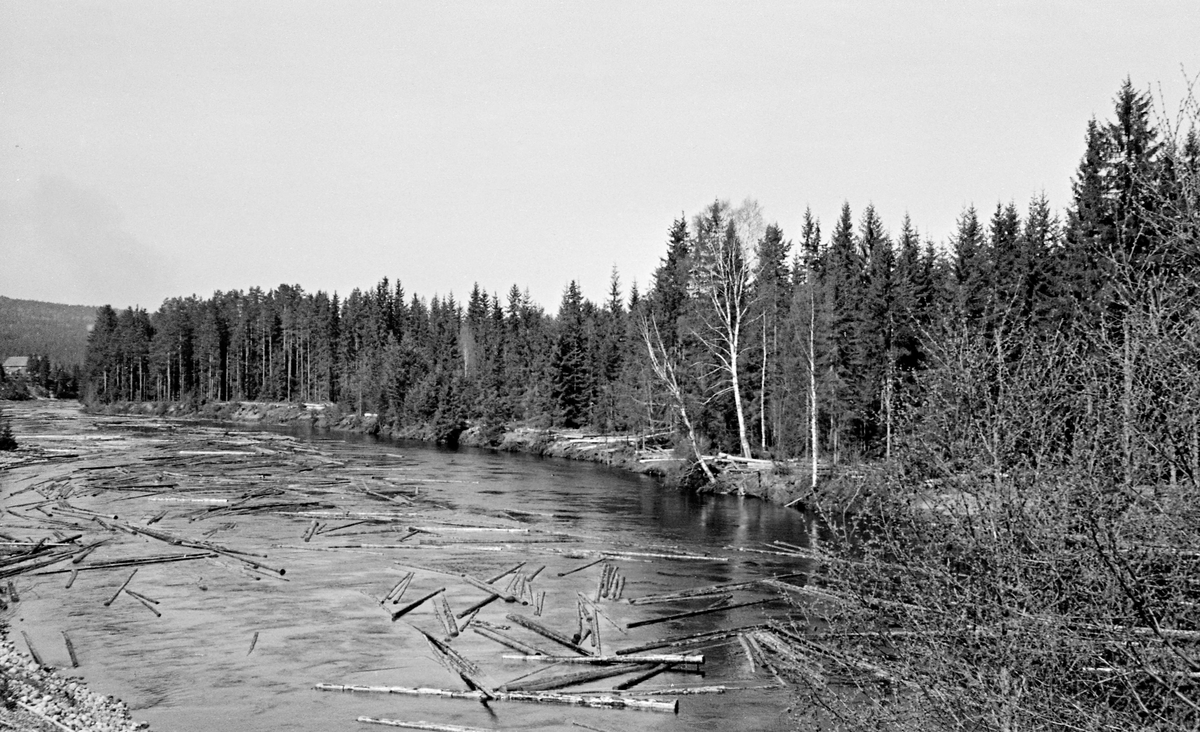 Tømmerfløting i elva Flisa i Solør våren 1950.  Fotografiet viser et forholdsvis bredt, stilleflytende elveløp med løstømmer i vannskorpa.  Inntil elvebredden vokste det en del lauvtrær, men bakenfor sto barskogen tett.  Flisa er ei av Glommas største sideelver.  Denne elva har et nedslagsfelt på om lag 1 600 kvadratkilometer, i hovedsak i Norge, men noe av vannet kommer også fra svensk side av riksgrensa.  Det norske nedslagsfeltet ligger i kommunene Elverum, Våler og Åsnes.  Dette fotografiet er tatt på Velta ved Valby i Åsnes.