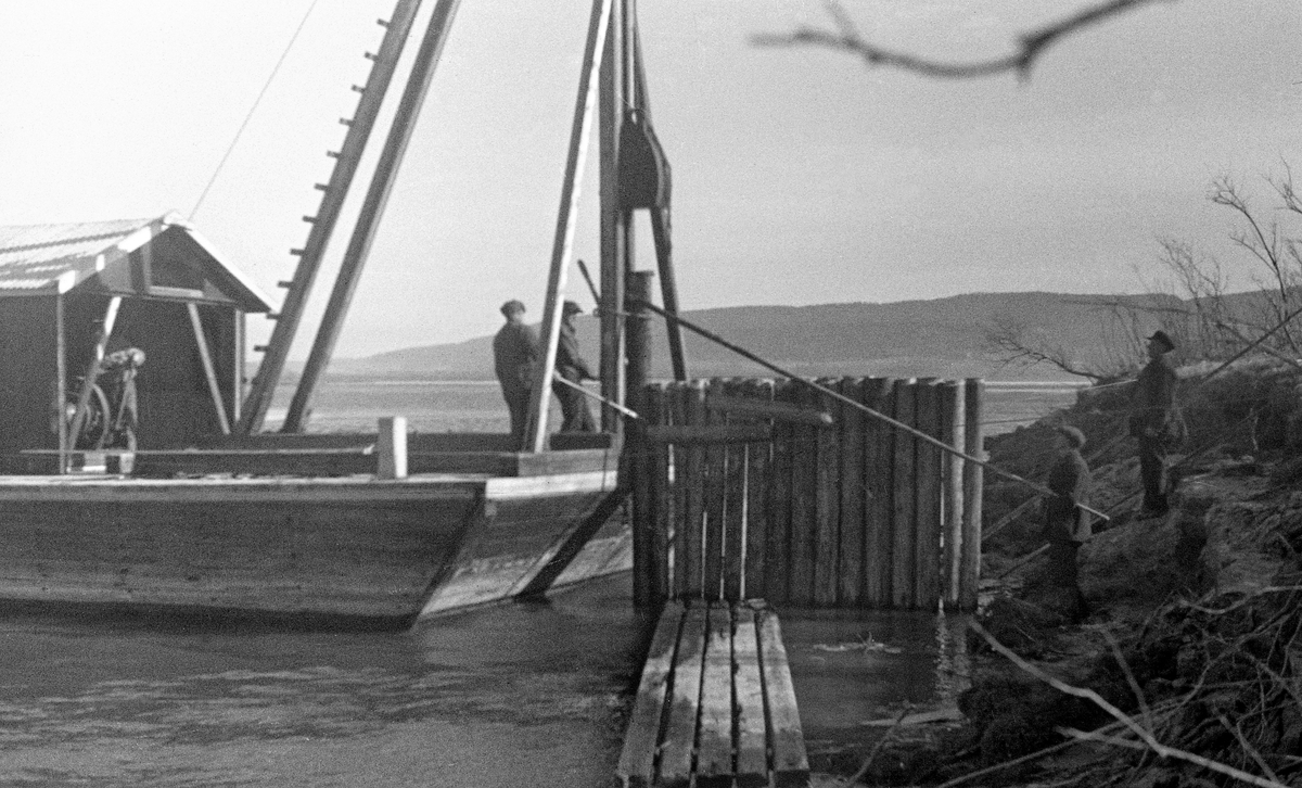 Påling av såkalt «stolpegard» ved Glennetangen lenser i Skiptvet i 1943. Arbeidet ble utført ved hjelp av en rambukk, som var plassert i den ene enden av en diger, stabil pram.  Rambukken var bygd på ei rektangulær bjelkeramme med en loddrett bjelke («tårnet») og to skråstivere i den enden som var plassert ytterst på prammen, og to skråstilte «støttebein», hvorav det ene var påspikret tverrpinner som gjorde det mulig å klatre opp til toppenden, der de vertikale bjelkene møttes.  Der var det plassert ei trins.  På den gikk det en vaier fra et spill som sto inne i et hus på prammen til et tungt lodd som hang fra tårnet.  På dette fotografiet ser vi hvordan rambukken ble brukt.  Det tunge jernloddet ble hevet ved hjelp av spillet.  To menn holdt prammen og tårnaksen tett inntil pålen som skulle holdes ned, og en mann på land forsøkte ved hjelp av ei lang stang og holde pålen i loddrett stilling.  Når alt var klart ble spillet på prammen frikoplert, slik at loddet falt tungt ned på toppen av pålen, som dermed ble drevet ned i mudderet på elvebotnen.  Ved å gjenta denne prosedyren, ble pålene etter hvert stående støtt og fast.  Da dette opptaket ble gjort var man åpenbart i ferd med å lage en «stolpegard», en kraftig skjerm som skulle bestå av tettstilte påler på rekke.  Slike konstruksjoner var vanlige ved sagbruk, der det var viktig å holde store reservoarer av tømmer samlet inntil stokkene ble tatt opp og skåret til trelast.  Her ble samme konstruksjon brukt ved det største lenseanlegget for tømmer i Nedre Glomma.