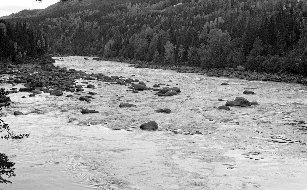 Parti fra Ensbyfallene (også stavet Einsbyfallene), noen stryk i Gudbrandsdalslågen, nedenfor Hunderfossen.  Fotografiet er tatt fra en bergskrent på Øyer-sida (østsida) av elva.  I forgrunnen ser vi et forholdsvis stilleflytende parti, men nærmere motsatt elvebredd (Fåberg-sida) ser vi at vannet flyter raskere i et steinete elveløp med kvite skumtopper.  Langs bredden lå det en del strandet fløtingstømmer.  Langs elvebreddene vokste det skog, med lauvtrær nærmest elva og mer barskog oppover i liene.  Fotografiet ble tatt i 1961, antakelig for å dokumentere vannføringa i denne delen av vassdraget, før kraftverket ved Hunderfossen sto ferdig.