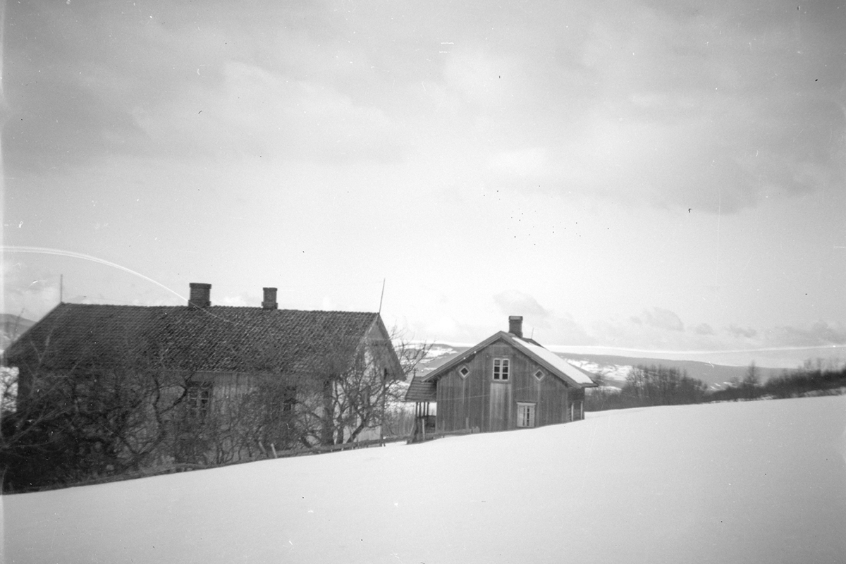 Kjos gard, Ring ?.