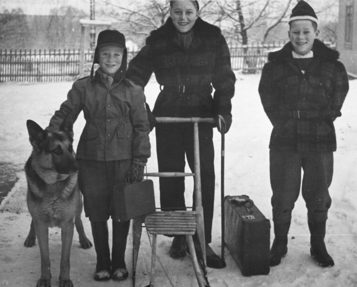 Brødrene Moen, Elverhøy, Brumunddal, spark, vinter, koffert, hund,