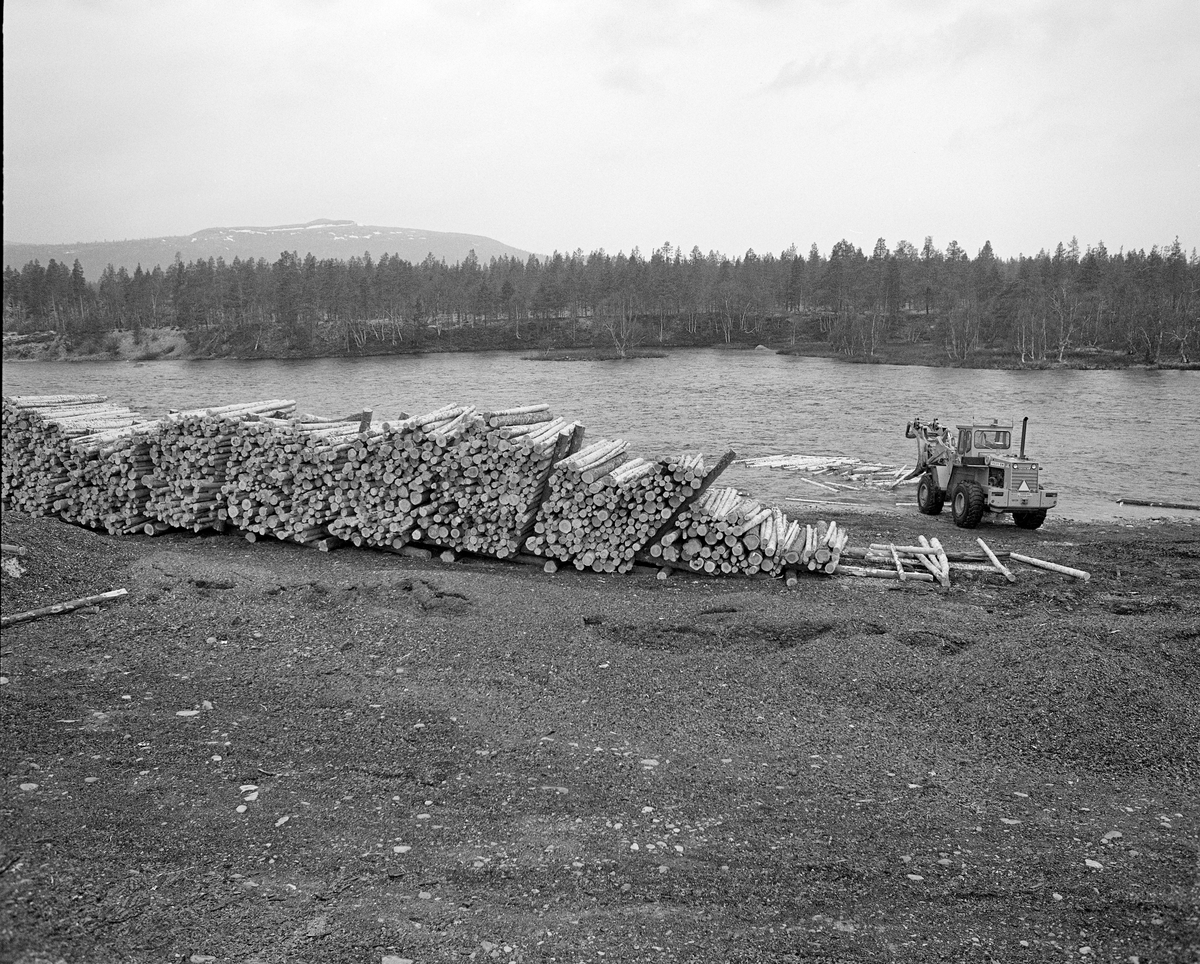 Utislag med hjullaster fra en terminalplass på Røskjota ved Sølenstua i Engerdal i Hedmark. Tømmeret hentes på land, der det var lagt opp ved bredden av Femundselva (Trysilelva) tilsynelantende med skillestokker som holdt de ulike leveransene fra hverandre.  Med den digre, frontmonterte, hydrauliske kloa som arbeidsredskap hentet maskinføreren tømmerstokkene, som han deretter slapp ut i elva med sikte på at det skulle flyte videre med strømmen. Dette fotografiet ble tatt 22. mai 1986.  Tømmerterminalen på Røskjota ble bygd etter at Klarälvens Flottningsörening i 1953-54 bidro til at det ble bygd bilveger mellom Sølenstua og Galten, og opp til Femundsenden.  Dermed kunne tømmer fra Femund tas opp ved Gløta, og virke fra traktene rundt Isteren kunne hentes ved Isterfossen og kjøres til denne velteplassen, hvor stokkene ble lagt opp for tørking og fløting påfølgende år.  Fra 1965 og framover fikk Klarälvens Flottningsförening opparbeidet flere terminalplasser av den typen vi ser på dette fotografiet i Trysil og Engerdal.  Slike løsninger ble mulige etter at skogsbilvegnettet i de to kommunene var blitt såpass stort at man anså det for mulig å avvikle fløtinga i de minste sidevassdragene. Omlegginga skjedde i forståelse med Trysilvassdragets skogeierforening.  Terminalplassene hadde ikke bare hjullastere, men i mange tilfeller også barkemaskiner, noe som overflødiggjorde det manuelle arbeidet med barkespader, og dermed forenklet driftsprosessene på hogstfeltene vinterstid.