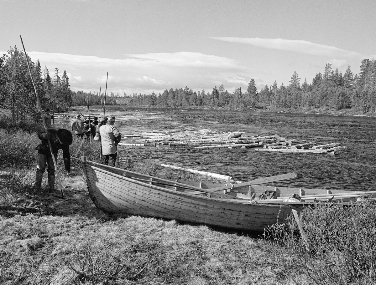 Fra den såkalte «sluttrensken» i Femundselva i Engerdal våren 1986.  Denne sesongen hadde Klarälvens Flottningsförening engasjert 23 mann for å få cirka 90 000 kubikkmter nedover Trysilvassdraget mot grensa mot Sverige og Värmland.  Noen av karene arbeidet i båtlag, som hadde ansvar for å løse tømmerhauger som hadde lagt seg på stein- eller grusører sentralt i elveløpet, andre var «landkarer», som gikk med fløterhaker langs elvebreddene, der de sørget for at gjenliggende tømmerstokker ble «haket» ut i de frittstrømmende vannmassene igjen.  Dette fotografiet er tatt på et tidspunkt da fløterne samlet seg til ei timelang kvilepause ved Ulvåoset.  Båten i forgrunnen er av den typen fløterne foretrakk.  Den var forholdsvis lang (om lag 5,5 meter), men likevel lett og stødig.  Fløterbåtene ble bygd av forholdsvis tynne, smale furubord, som ble sammenføyd ved hjelp av «kinger» (metallkramper).  I den perioden da dette fotografiet ble tatt var det arbeidsformann (fløterbas) Kåre Joar Graff som leverte nye båter til fløtinga i Trysilvassdraget.