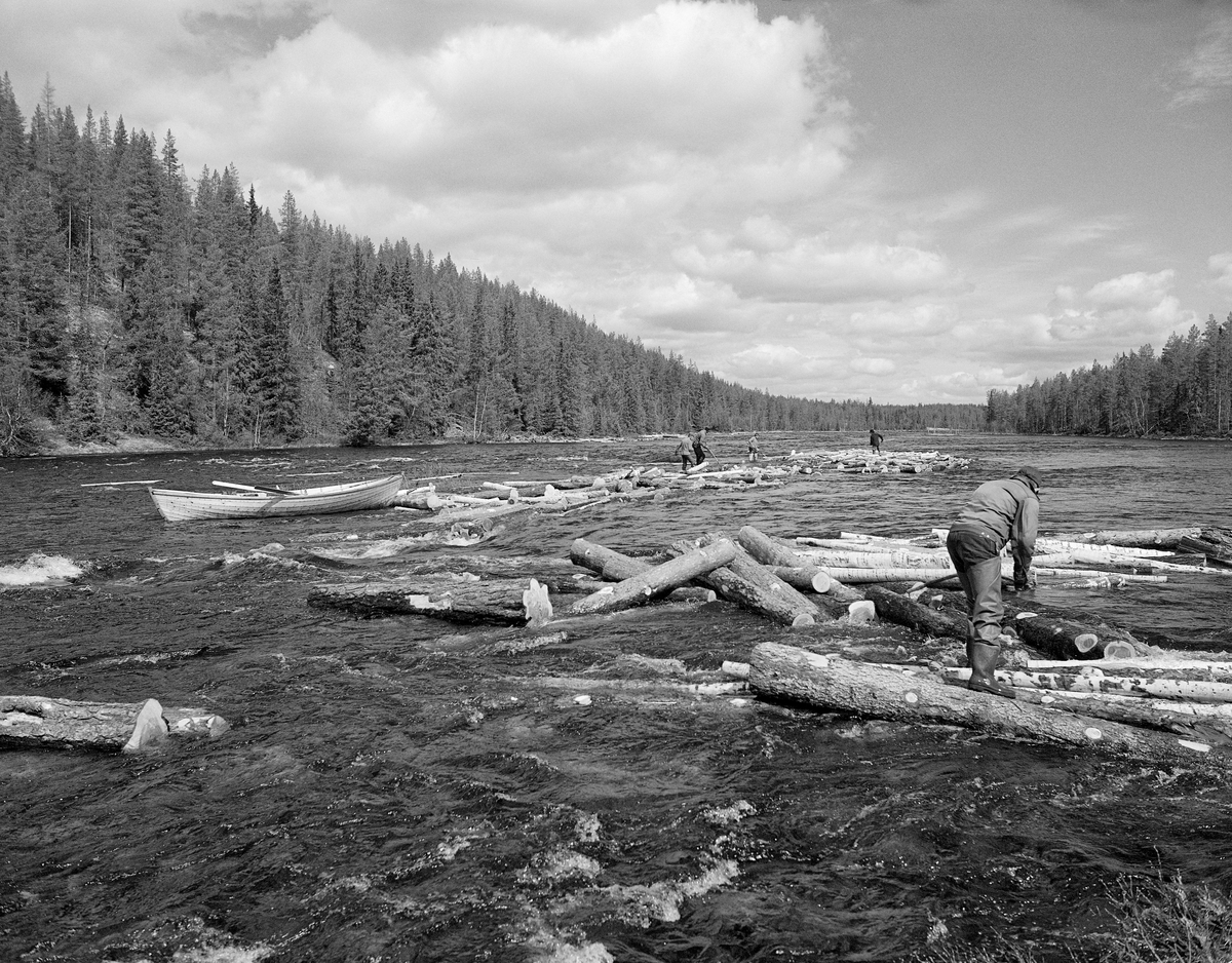 Tømmer i Muggfossen i Femundselva våren 1986.  Fotografiet ble tatt under «sluttrensken» i den øvre delen av Trysilvassdraget.  Det viser hvordan stokkene hadde lett for å bli liggende på oppstikkende steiner i elvefaret når vårflommen var på retur.  Her var det en såpass stor opphopning av fastsittende tømmer at fløterne hadde tatt seg ut til tømmervasen og fortøyd båten sin der, for å kunne «arbeide ut» stokkene ved hjelp av hakene.  En mann drev med slikt arbeid nær land til høyre i forgrunnen, men båtlaget strevde med en haug som lå litt høyere oppe, sentralt i elveløpet.  Båttypen vi ser på bildet ble mye brukt blant fløterne i Trysilvassdraget.  Den var om lag 5,5 meter lang, lagd av forholdsvis smale, tynne furubord som var sammenføyd med «kinger», jernkramper, i steden for vanlig båtsøm (klinknagler).  Fløterbasen Kåre Joar Graff lagde sjøl slike båter, et handverk han hadde lært av onkelen Ole K. Rømoen, som også hadde arbeidet i fløtinga.