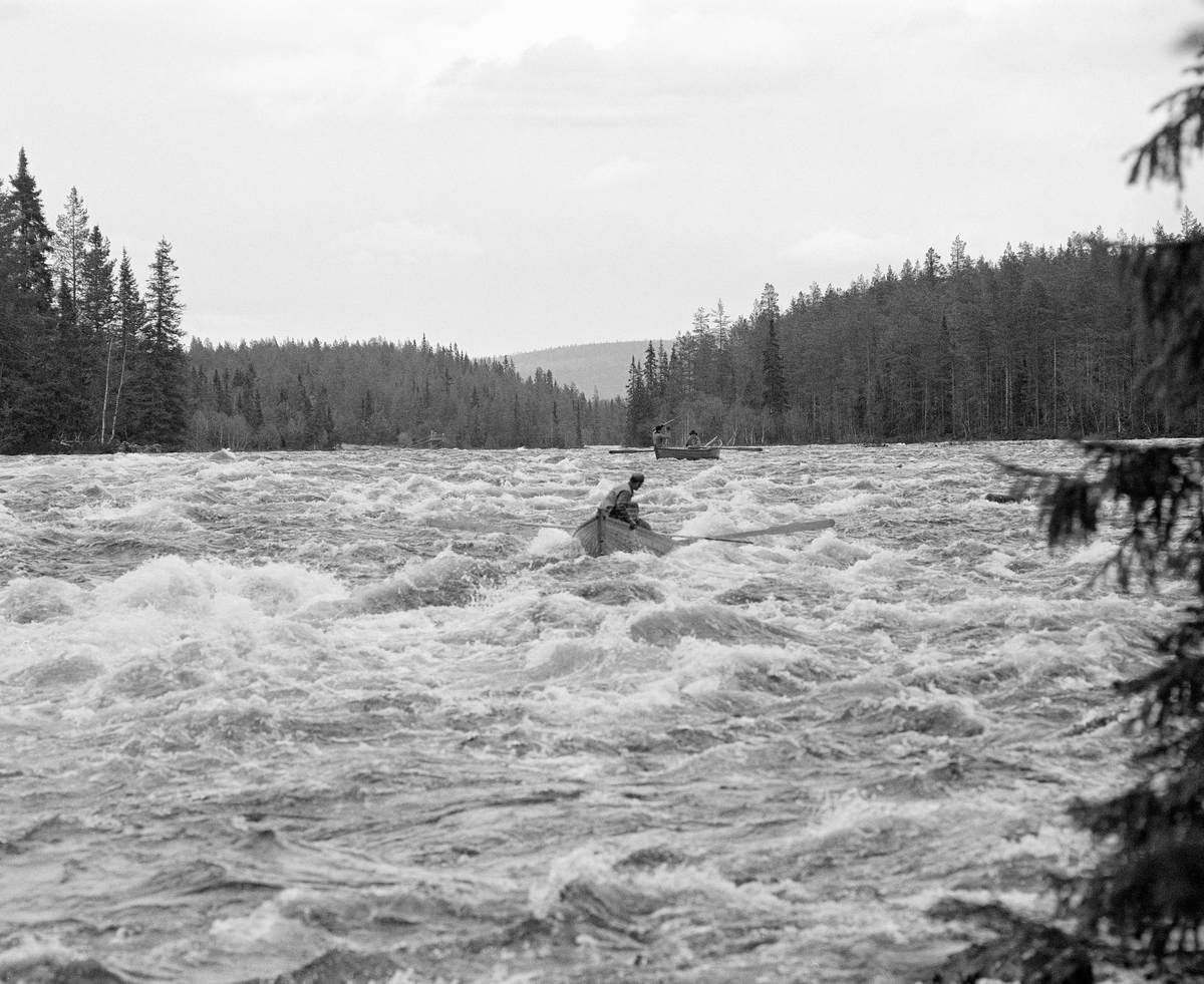 To fløterbåter i Storfossen i Femundselva i Engerdal våren 1986.  I denne perioden holdt Klarälvens Flottningsförening seg med fire båtlag under fløtinga i den norske delen av hovedvassdraget.  Hvert båtlag besto vanligvis av fire mann: En «framstavnkar», som satt ved årene, en «bakstavnkar» akterut, som bidro til manøvreringa ved hjelp av ei skåtestang, og to «haugkarer», som skulle arbeide på tømmerhauger som hadde bygd seg opp i den sentrale delen av elveløpet.  I tillegg gikk det en del landkarer med fløterhaker langs begge elvebredder, der de skjøv stokker som hadde strandet ut i de strømmende vannmassene igjen.  På dette fotografiet ser vi bare «framstavnkarer» og «bakstavnkarer».  Fløterbåtene som ble brukt i Trysilvassdraget var forholdsvis store, med skrog som var bygd av smale, tynne furubord, sammenføyd ved hjelp av «kinger» (metallkramper).  Båtene var det arbeidsformannen (fløterbasen) Kåre Joar Graff som bygde båtene de siste åra det ble fløtet tømmer på Trysilvassdraget.