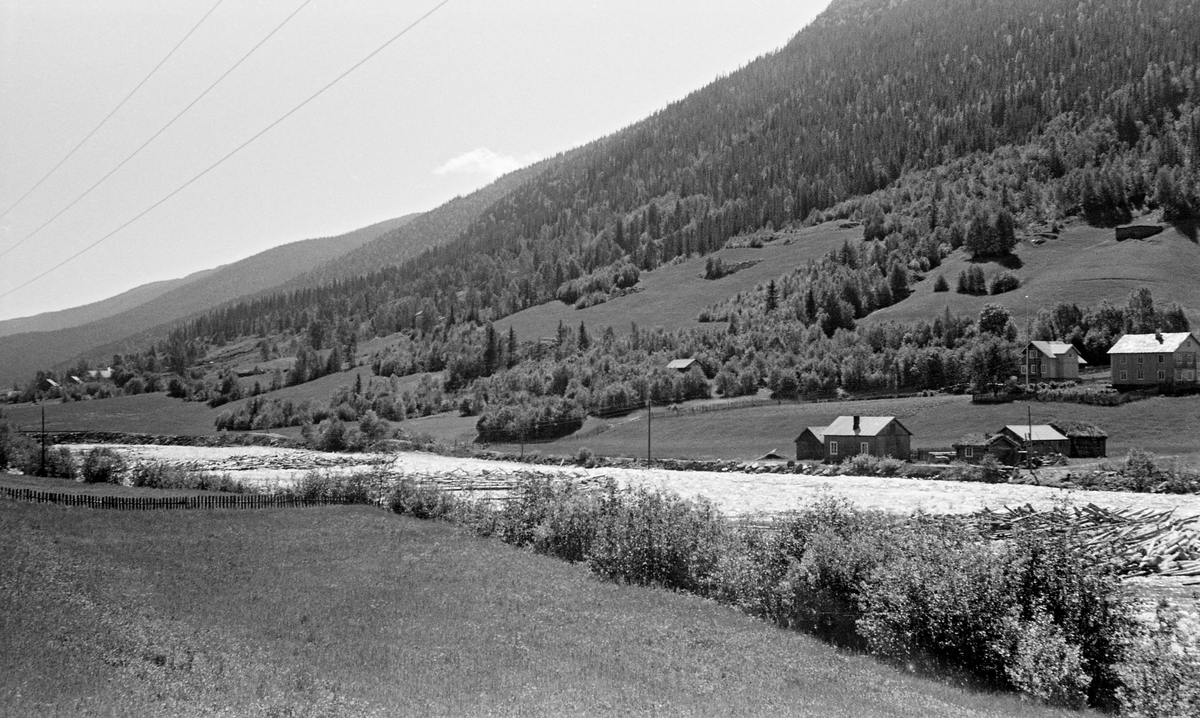 Tømmervaser eller tømmerhauger i elva Sjoa, ei sidegrein til Gudbrandsdalslågen i Sel kommune.  Fotografiet er tatt i juni 1955.  En del tømmer hadde strandet på grusører langs den ene elvebredden.  I lia bakenfor lå det små gardsbruk i sonen mot elva, med barkskog i områdene ovenfor.  Sjoa er botrimot ti mil lang og har et nedslagsfelt på drøyt 1 500 kvadratkilometer.  Gjendevatnet i Jotunheimen er utgangspunktet for Sjoa.  Der vokser det ikke tømmerfør skog.  Sjoa har imidlertid hatt fløting fra Nedre Sjodalsvatnet i Vågå og ned til utløpet i Gudbrandsdalslågen.  Elva renner gjennom mye berglendt terreng, der fløtinga var vanskelig og farlig, til tross for at det ble bygd en del løftedammer som skulle forebygge at tømmeret satte seg fast.  I den nederste delen av vassdraget, der dette fotografiet ble tatt var topografien noe enklere, men tømmeret kunne altså binde seg på stein- og grusører.  I 1955 var det innmelt 55 888 tømmerstokker til fløting i Sjoa.  Bortimot 3 000 stokker nådde ikke fram til Lågen i løpet av denne sesongen.  Fløtinga av disse måtte følgelig videreføres påfølgende sesong.