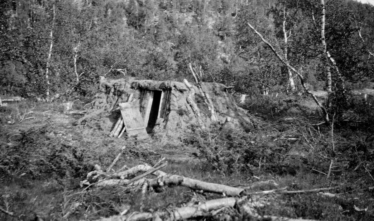 Tjørebrennerkoie, Troms 1931. 